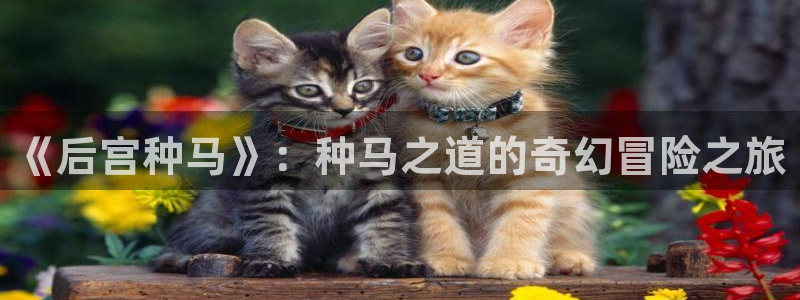 豪门恶女瑟琳娜韩漫漫画：《后宫种马》：种马之道的奇幻冒险之旅
