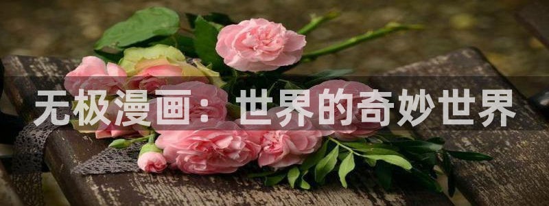韩漫漫画动漫：无极漫画：世界的奇妙世界