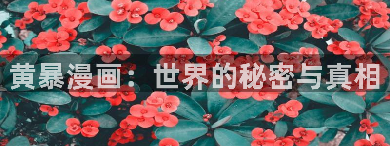 日漫韩漫漫画：黄暴漫画：世界的秘密与真相